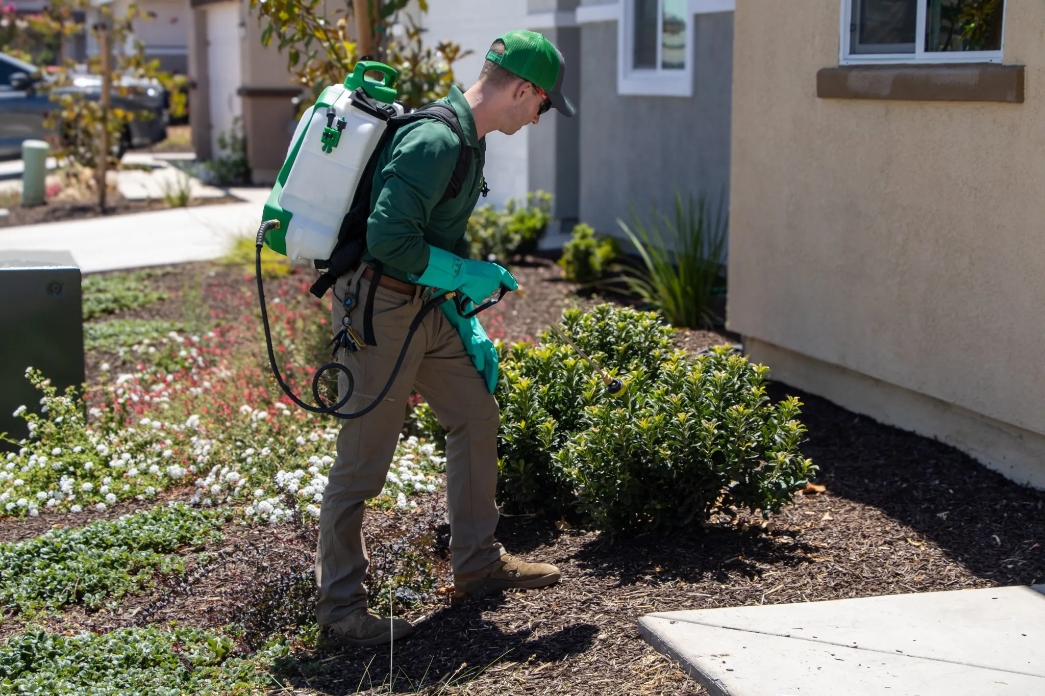 Pointer Pest Control technician applying exterior barrier treatment to front landscaping of a Granite Bay CA home