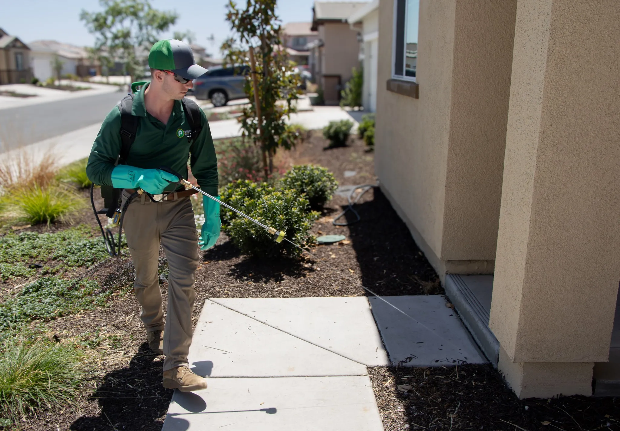 Pointer Pest Control technician applying exterior barrier treatment along the front walkway of a Roseville CA home