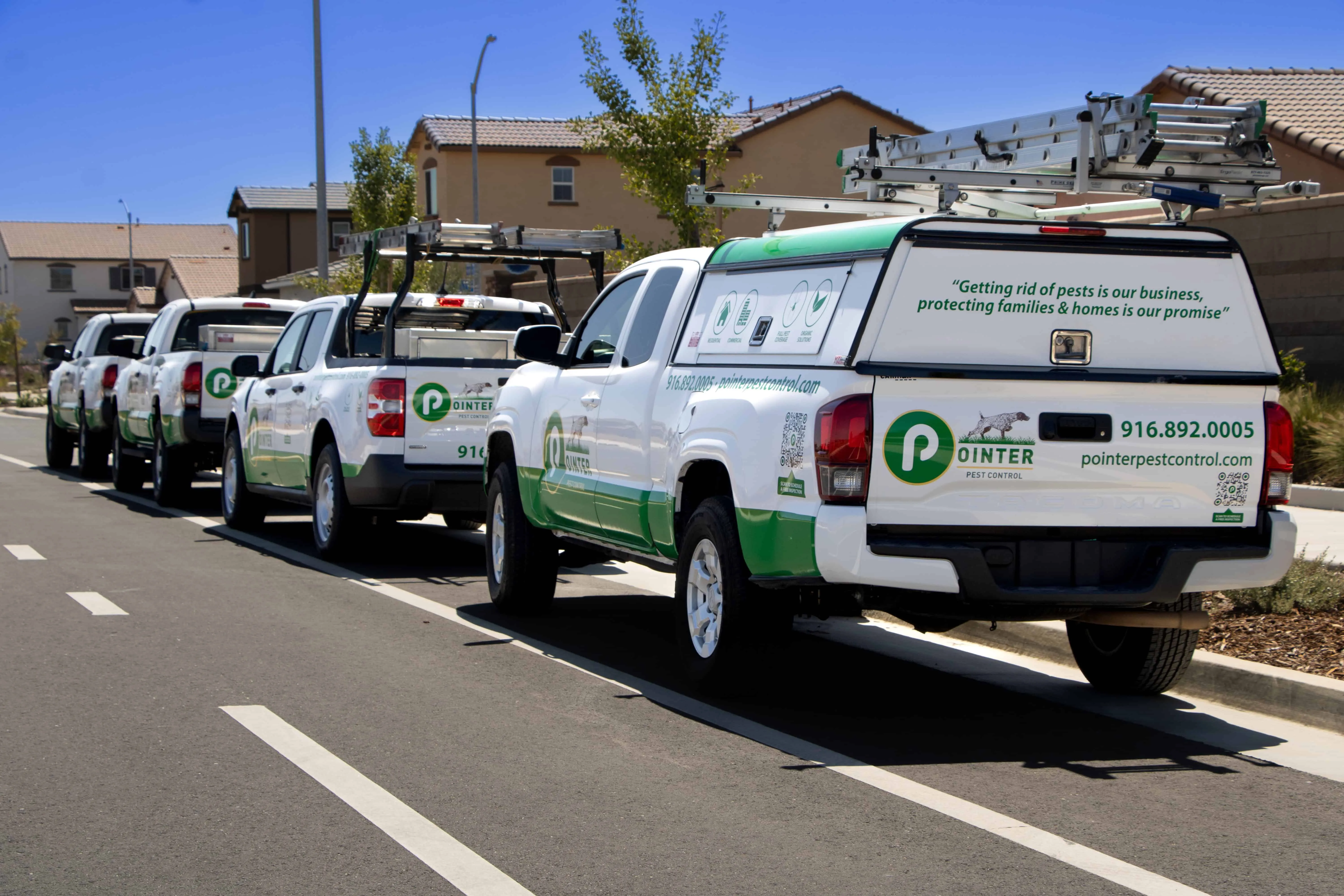 Pointer Pest Control technician applying exterior ant treatment
