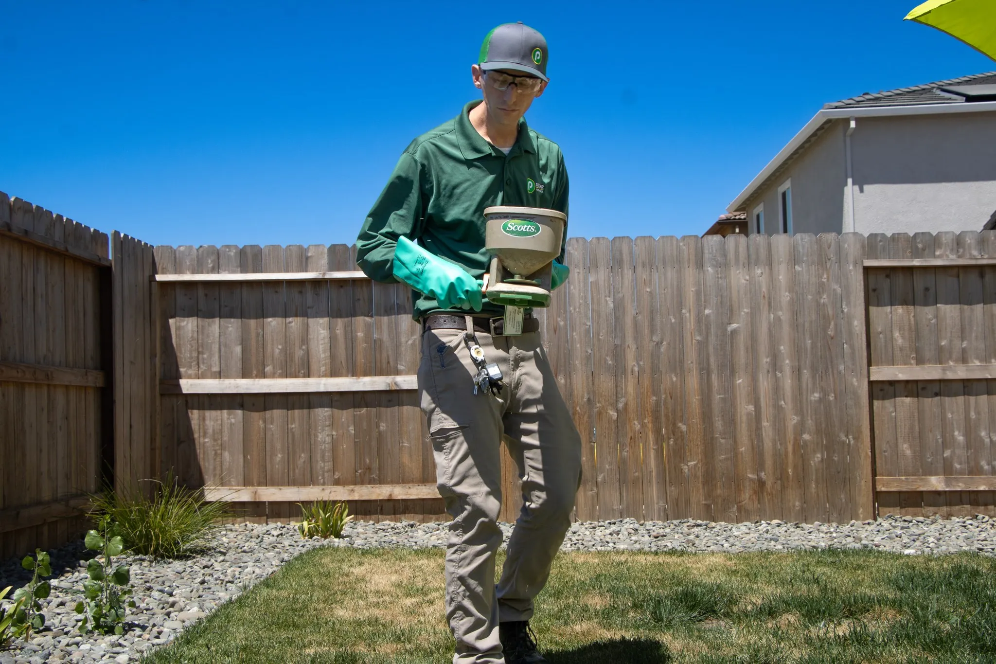 Pointer Pest Control technician applying granular flea and tick treatment to a Roseville CA backyard lawn